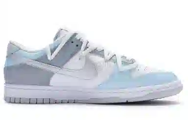 Nike Dunk Low 811