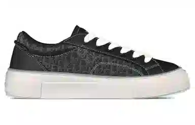 DIOR B33