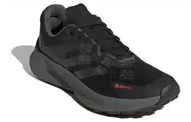 adidas Terrex Soulstride Flow