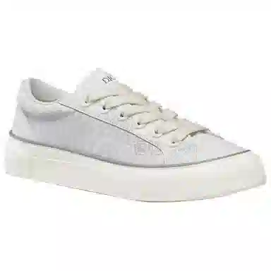 DIOR B33