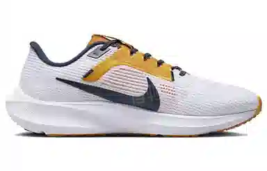 Nike Air Zoom Pegasus 40 White Black