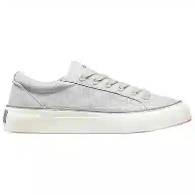 DIOR B33