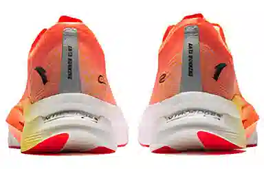 Anta C202 5 GT