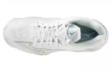 Mizuno