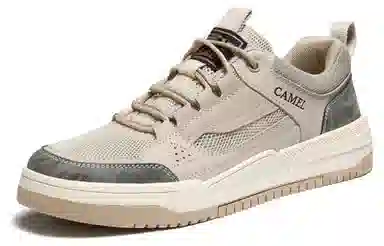 CAMEL