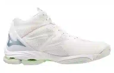 Mizuno