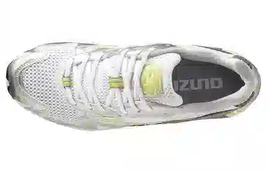 Mizuno Wave Rider 10