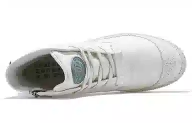 Palladium Pampa