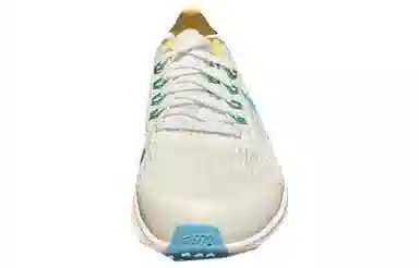 Nike Air Zoom Pegasus 39