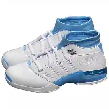 Jordan Air Jordan 17