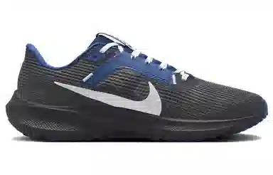 Nike Air Zoom Pegasus 40 Grey Blue