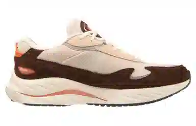 Mizuno Wave Rider