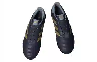 adidas Copa Icon FG Blue