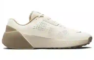 Nike Air Zoom TR 1 Light Orewood Brown