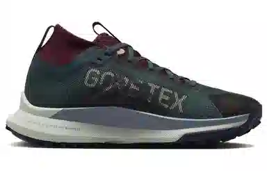 Nike Pegasus Trail 4 GORE-TEX