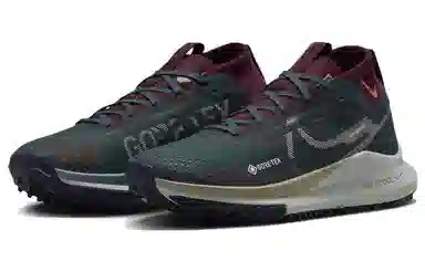 Nike Pegasus Trail 4 GORE-TEX