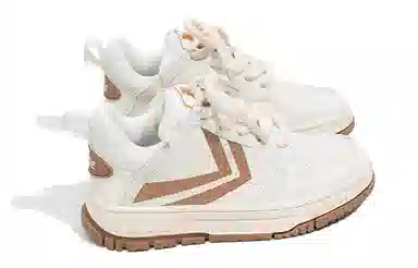 Feiyue