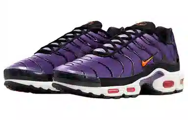 Nike Air Max Plus Purple Black