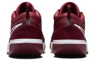 Nike Court Zoom Pro