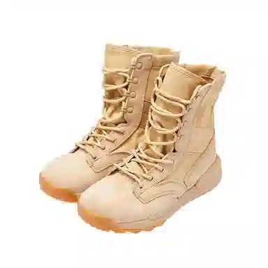 BEAR UNION Fierce battle