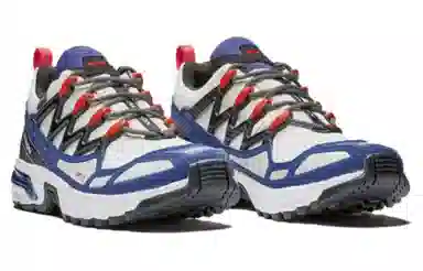 SALOMON ACS +