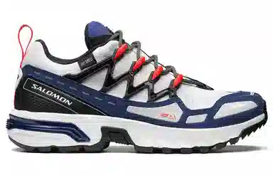 SALOMON ACS +