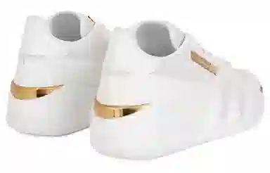 giuseppe zanottiGZ Talon