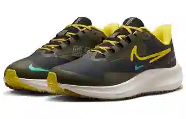 Nike Pegasus Turbo Shield Brown