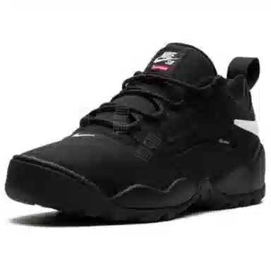 Supreme x Nike SB Darwin Low