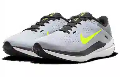 Nike Air Winflo 10 Grey