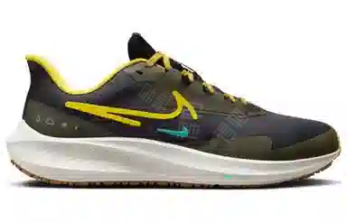 Nike Pegasus Turbo Shield Brown