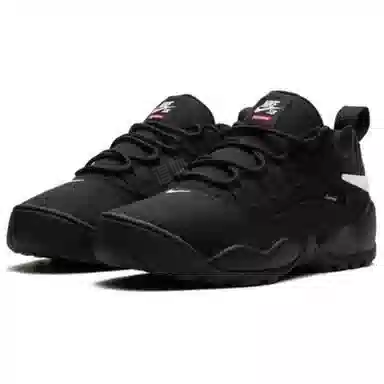 Supreme x Nike SB Darwin Low