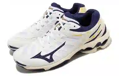 Mizuno Wave Voltage