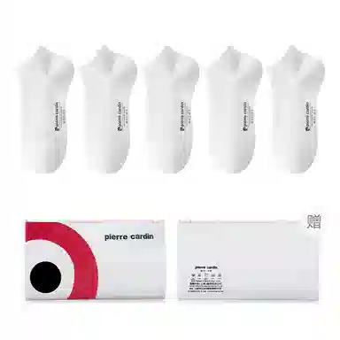 PIERRE CARDIN LOGO 5