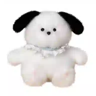 20cm