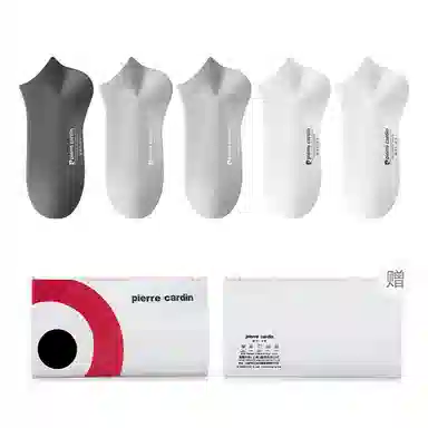 PIERRE CARDIN LOGO 5