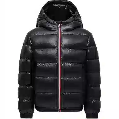 Moncler New Aubert Hooded Down Jacket