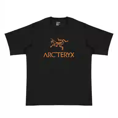 Arcteryx Fantasy LogoT