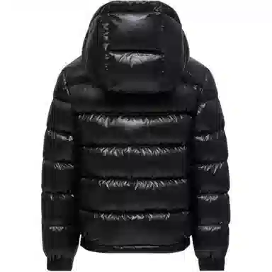 Moncler New Aubert Hooded Down Jacket