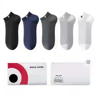 PIERRE CARDIN LOGO 5