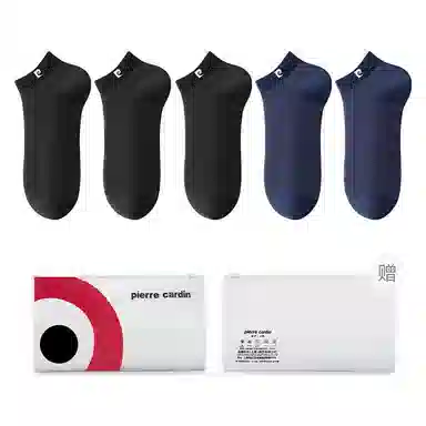 PIERRE CARDIN LOGO 5