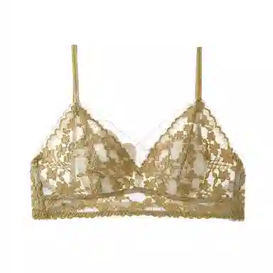 内在密码 法式蕾丝美背透气不凸点内衣植物花卉文胸 女款