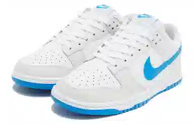 Nike Dunk Low White Blue