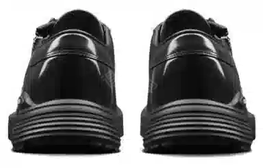 DIOR OBLIQUE