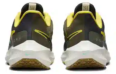 Nike Pegasus Turbo Shield Brown