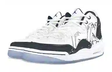 Jordan Courtside 23