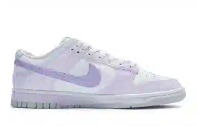 Nike Dunk Low 811