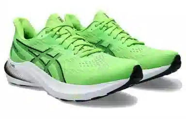 Asics GT-2000 12
