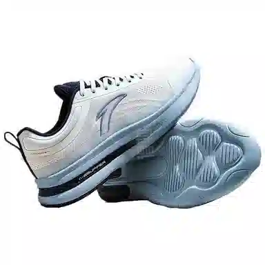Anta
