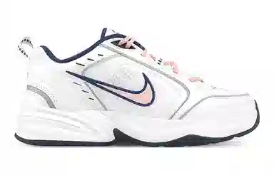 Nike Air Monarch 4 White Navy